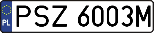 PSZ6003M