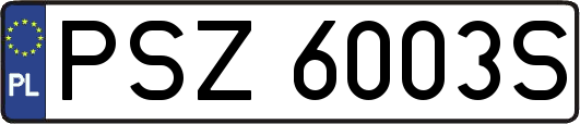 PSZ6003S