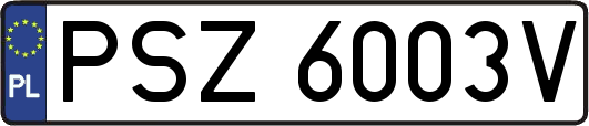 PSZ6003V