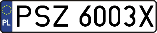 PSZ6003X