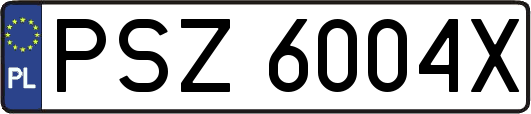 PSZ6004X