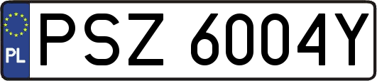 PSZ6004Y