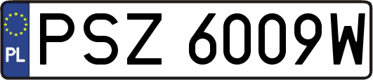 PSZ6009W