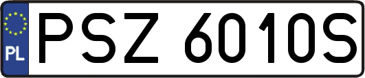 PSZ6010S