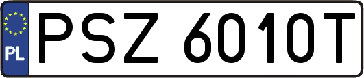 PSZ6010T