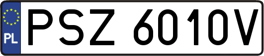 PSZ6010V