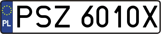 PSZ6010X