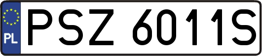 PSZ6011S