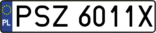 PSZ6011X