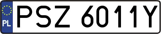 PSZ6011Y