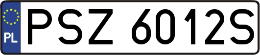PSZ6012S