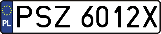 PSZ6012X