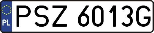 PSZ6013G