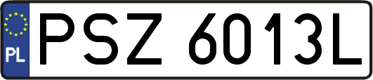 PSZ6013L