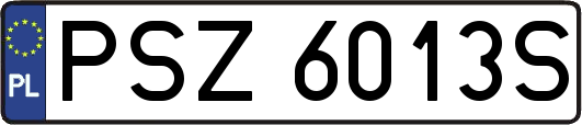 PSZ6013S