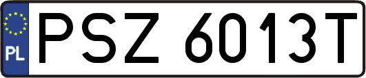 PSZ6013T