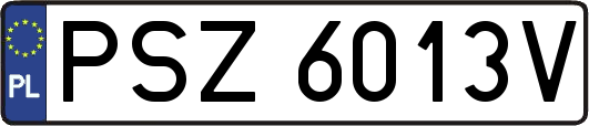 PSZ6013V