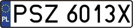 PSZ6013X