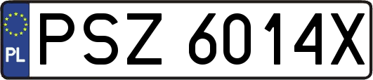 PSZ6014X