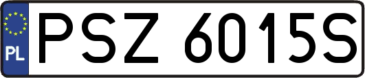 PSZ6015S