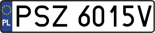 PSZ6015V