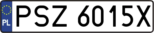 PSZ6015X