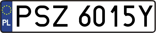 PSZ6015Y