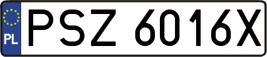 PSZ6016X