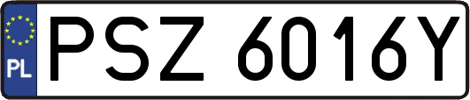 PSZ6016Y