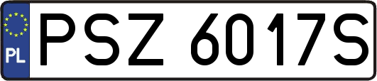 PSZ6017S