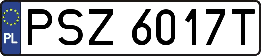 PSZ6017T