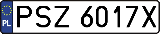 PSZ6017X