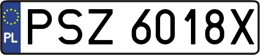 PSZ6018X
