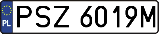 PSZ6019M