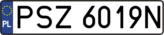 PSZ6019N