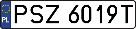 PSZ6019T