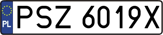PSZ6019X