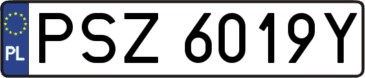PSZ6019Y