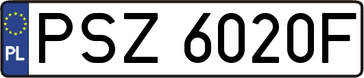 PSZ6020F