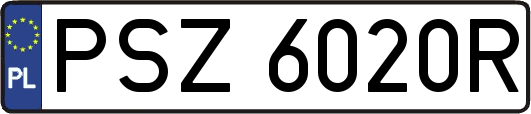 PSZ6020R