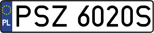 PSZ6020S