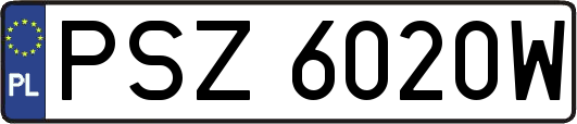 PSZ6020W