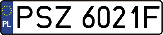 PSZ6021F
