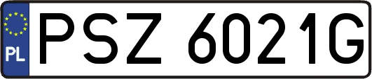 PSZ6021G
