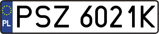 PSZ6021K