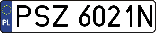 PSZ6021N