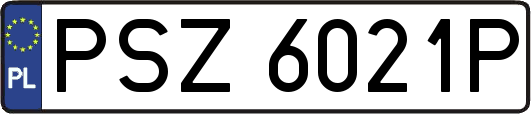 PSZ6021P