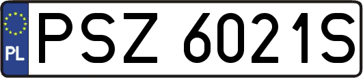 PSZ6021S
