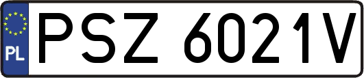 PSZ6021V