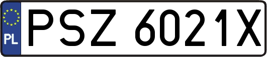 PSZ6021X